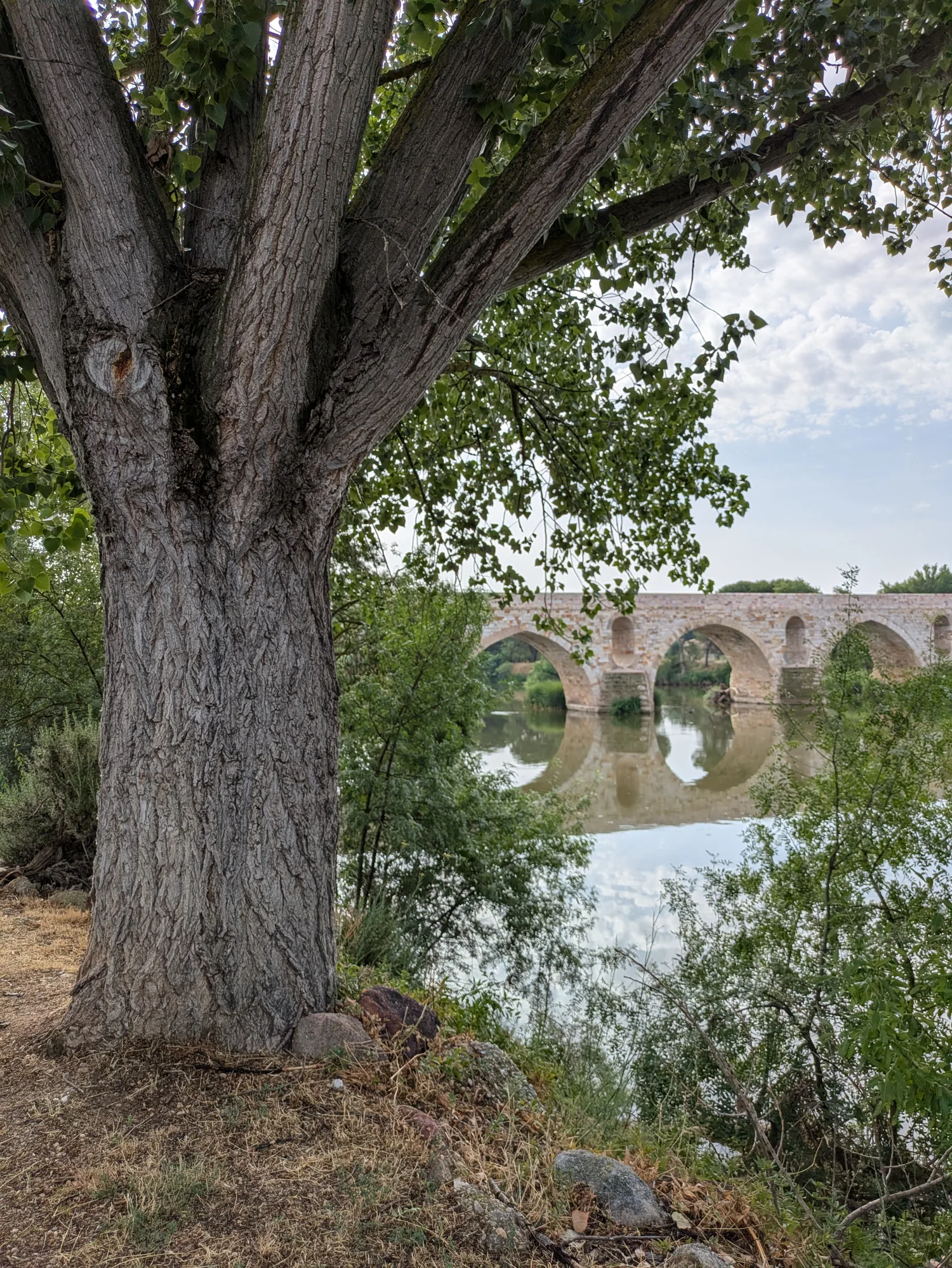 Old stone bridge over the Duero